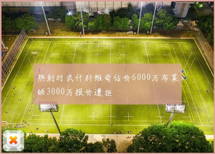 热刺对武什科维奇估价6000万布莱顿3000万报价遭拒
