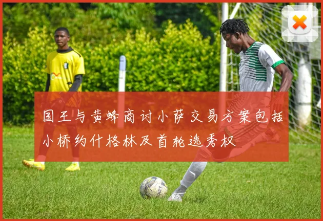 国王与黄蜂商讨小萨交易方案包括小桥约什格林及首轮选秀权