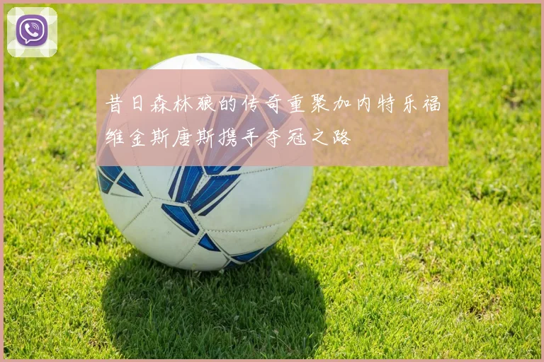 昔日森林狼的传奇重聚加内特乐福维金斯唐斯携手夺冠之路