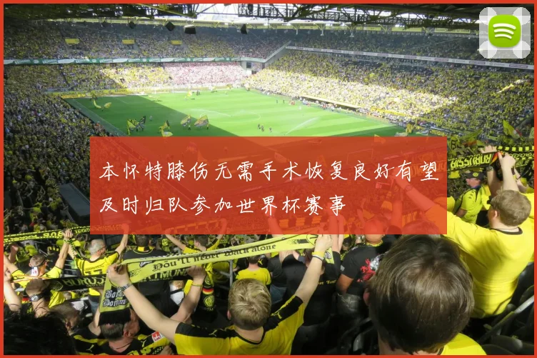 本怀特膝伤无需手术恢复良好有望及时归队参加世界杯赛事